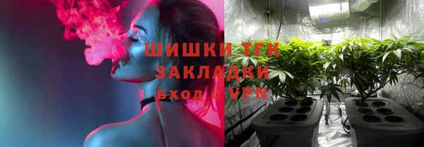 PSILOCYBIN Гусиноозёрск