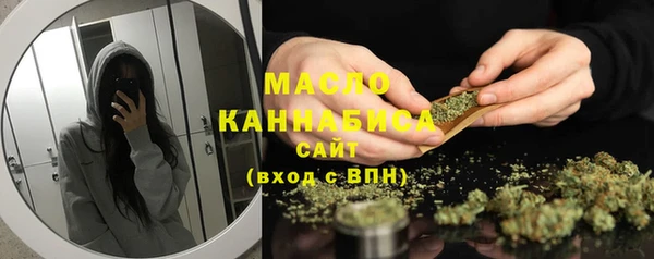 молекула духа Арсеньев