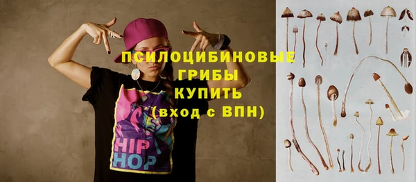 молекула духа Армянск