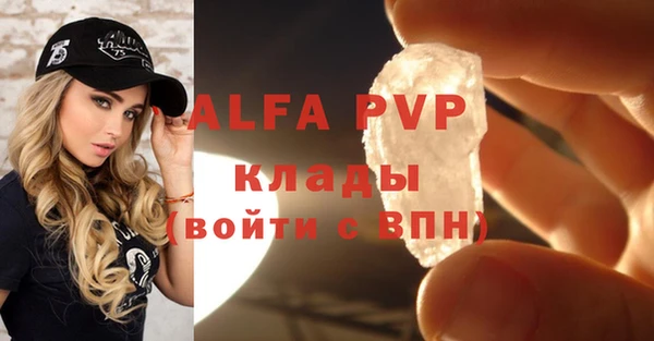 молекула духа Арсеньев