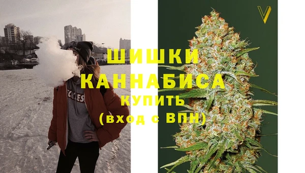 молекула духа Арсеньев
