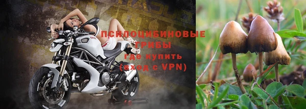 молекула духа Армянск