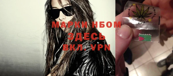 молекула духа Арсеньев